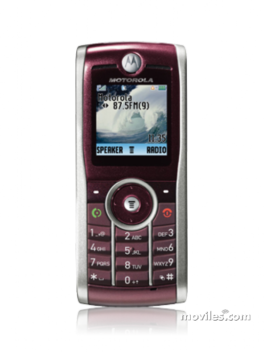 Imagen 2 Motorola W209