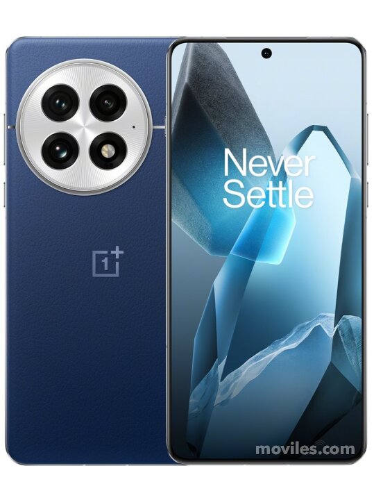 OnePlus 13