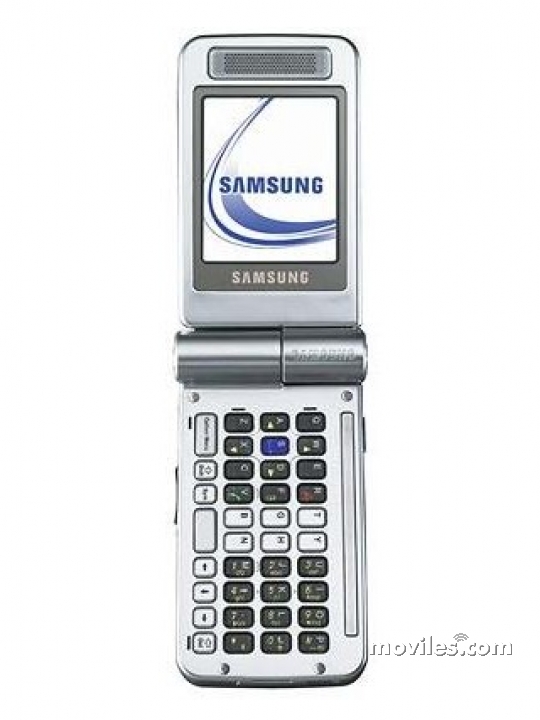 Samsung D300