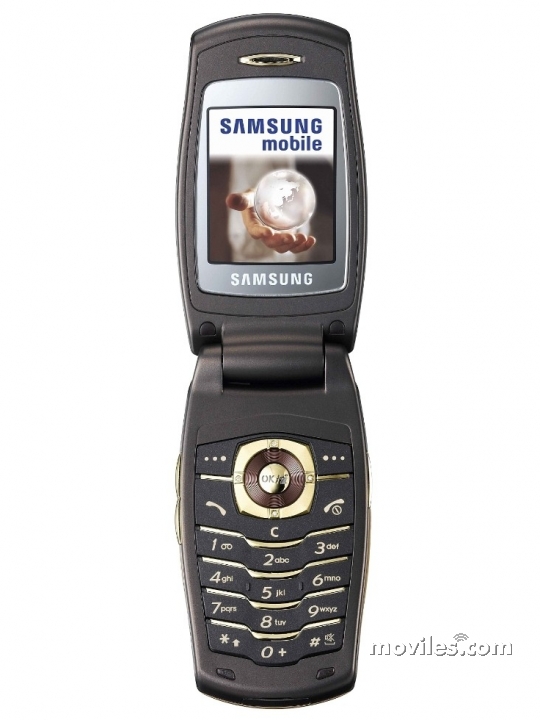 Samsung Sgh E Lafleur Moviles