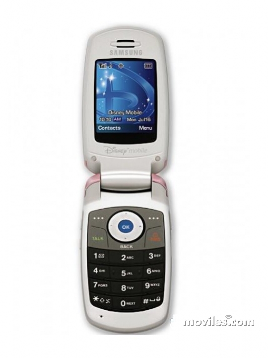 Samsung SPH-M305